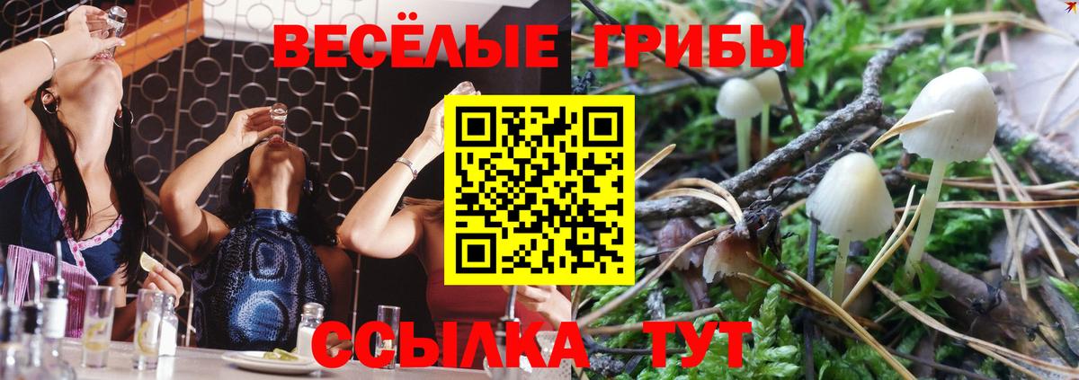 Галлюциногенные грибы Cubensis Чапаевск