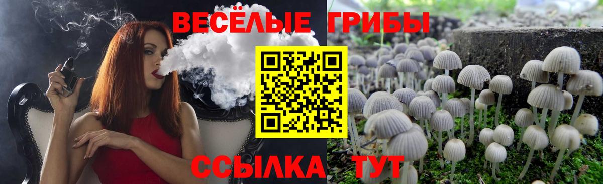 Чапаевск  Псилоцибиновые грибы Magic Shrooms  Вход с VPN 